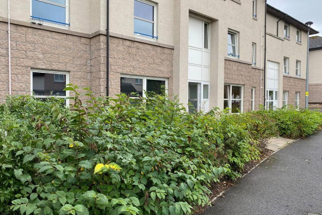 Peter Pan Apartment In The Heart Of Inverness Dalneigh 외부 사진